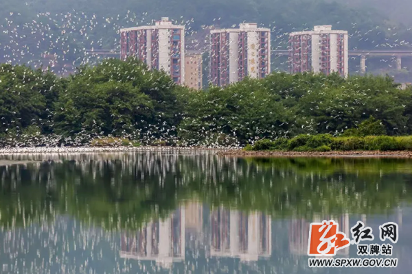 微信图片_20200921092653_副本.png