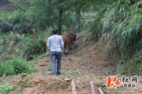 微信图片_20200927103504_副本_副本.png