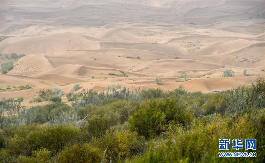 （环境）（4）库布其沙漠治理为全球荒漠化防治贡献中国智慧