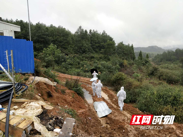 图片10.jpg