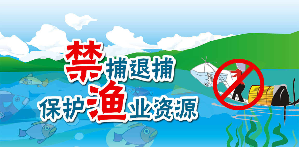 禁止捕鱼的宣传标语图片