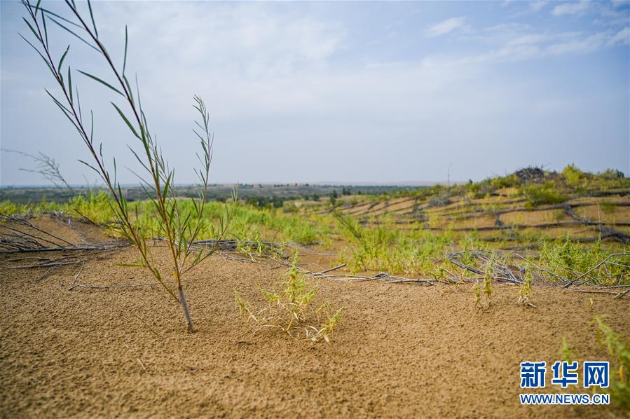 （环境）（6）库布其沙漠治理为全球荒漠化防治贡献中国智慧