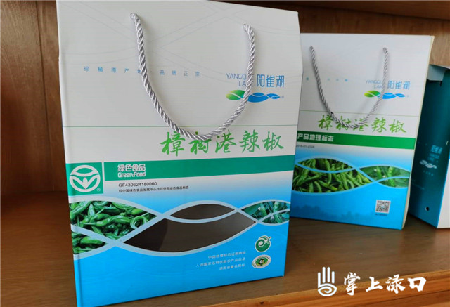 区领导到湘阴县考察樟树港辣椒产业