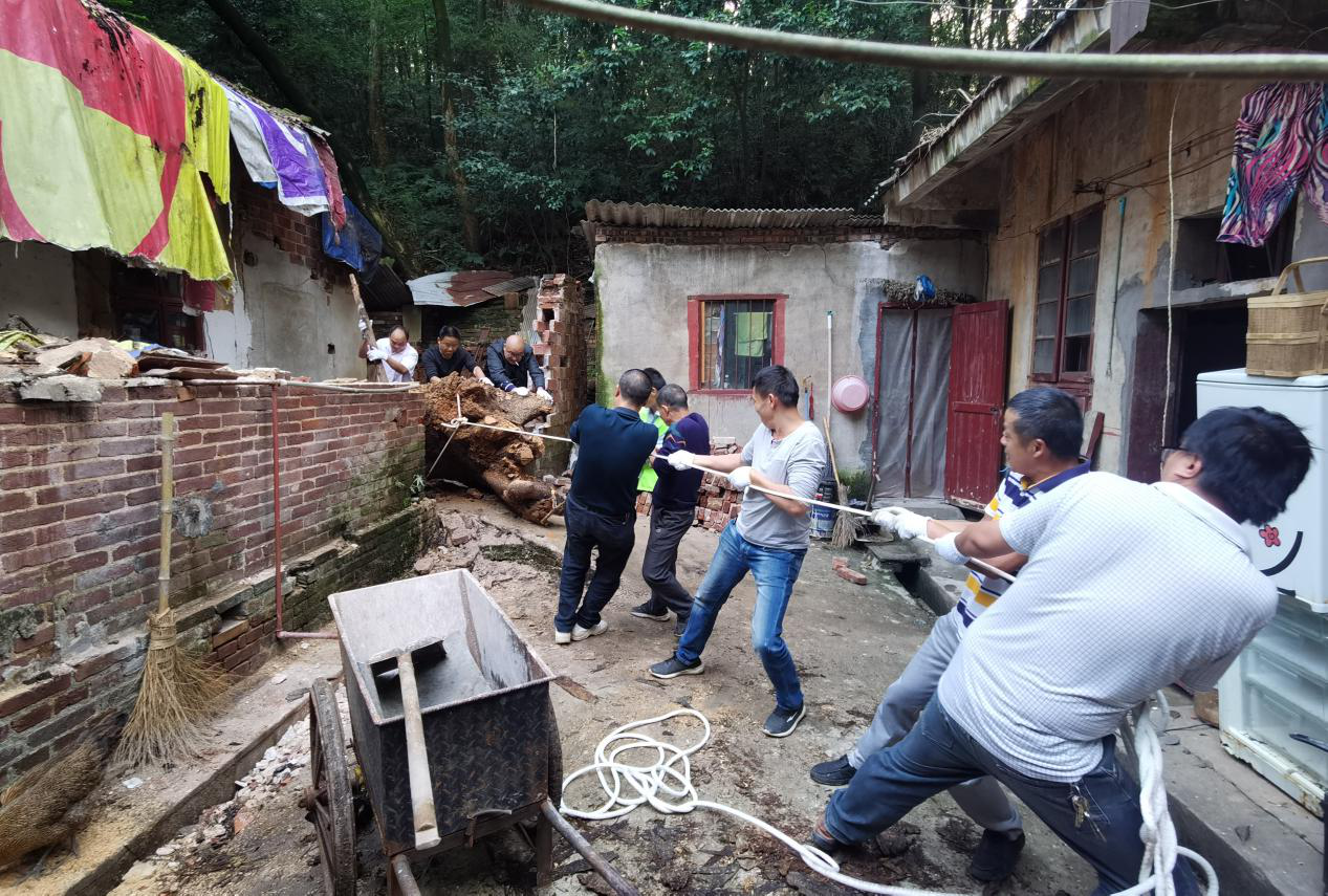 社区组织人员现场搬运倒塌树根.png