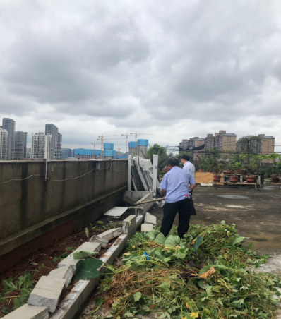 城管执法人员拆除“屋顶菜园”水泥隔断，杜绝私种菜园的情况再次发生.png