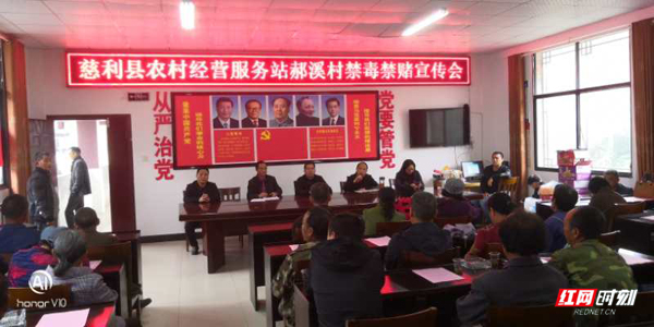 图片01.jpg