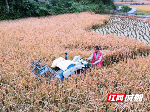 图片17.jpg