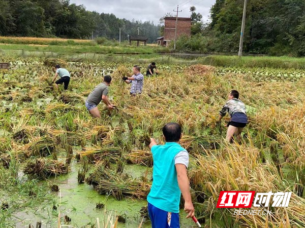 图片20.jpg