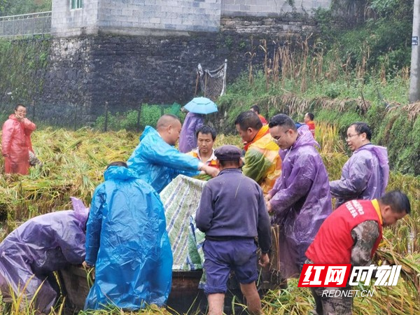 微信图片_20200930155512_副本.jpg