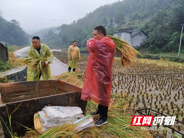 微信图片_20200930155753_副本.jpg