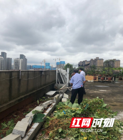 城管执法人员拆除“屋顶菜园”水泥隔断，杜绝私种菜园的情况再次发生.png