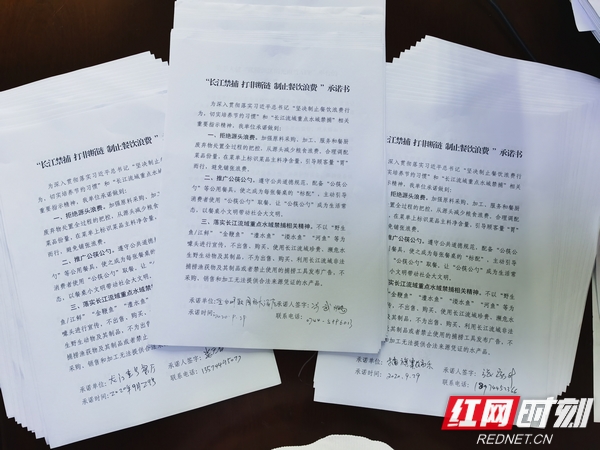 签订的 承诺书.jpg