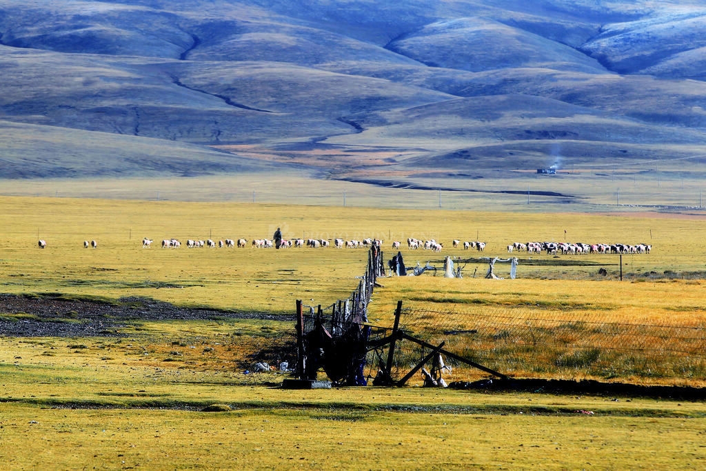 驴眼.jpg 驴眼.jpg