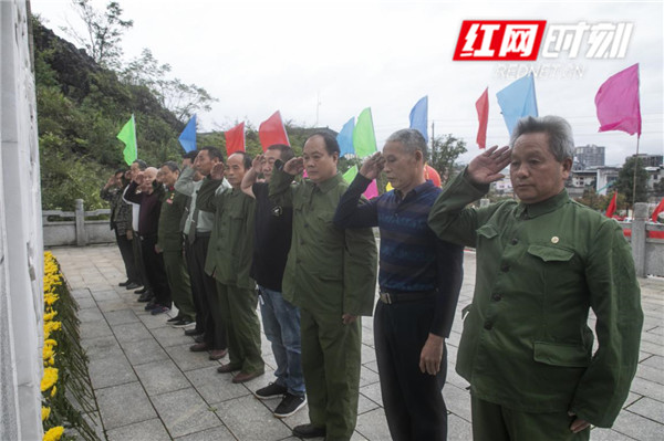 图片11.png 图片11.png