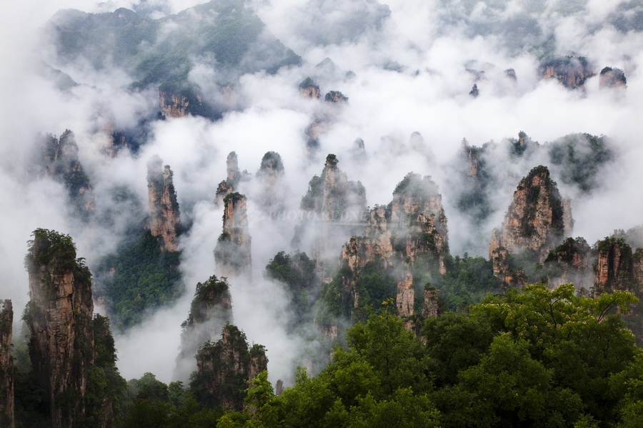 杨素琴3.jpg 杨素琴3.jpg