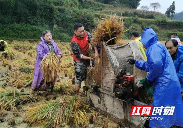 图片19.jpg