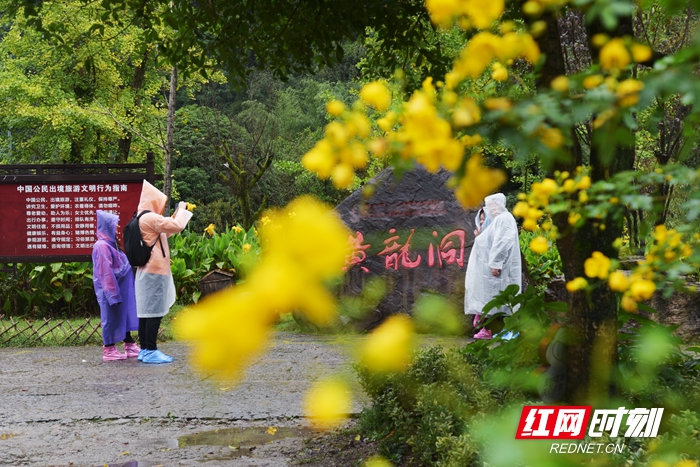 DSC_6673_副本.jpg
