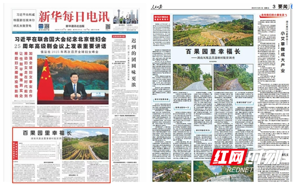 图片1.jpg 图片1.jpg