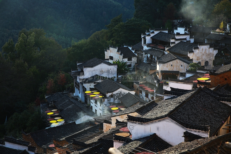 世味煮成茶232.jpg 世味煮成茶232.jpg