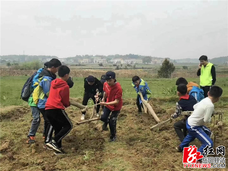 小朋友们在在张谷英体验农耕.jpg
