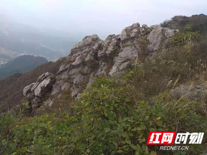 微信图片_20201010082058_副本.jpg 微信图片_20201010082058_副本.jpg
