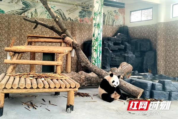 图1.jpg