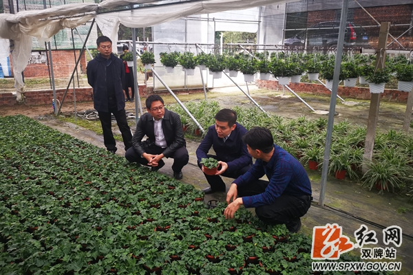 周润润调研 (4)_水印.jpg 周润润调研 (4)_水印.jpg