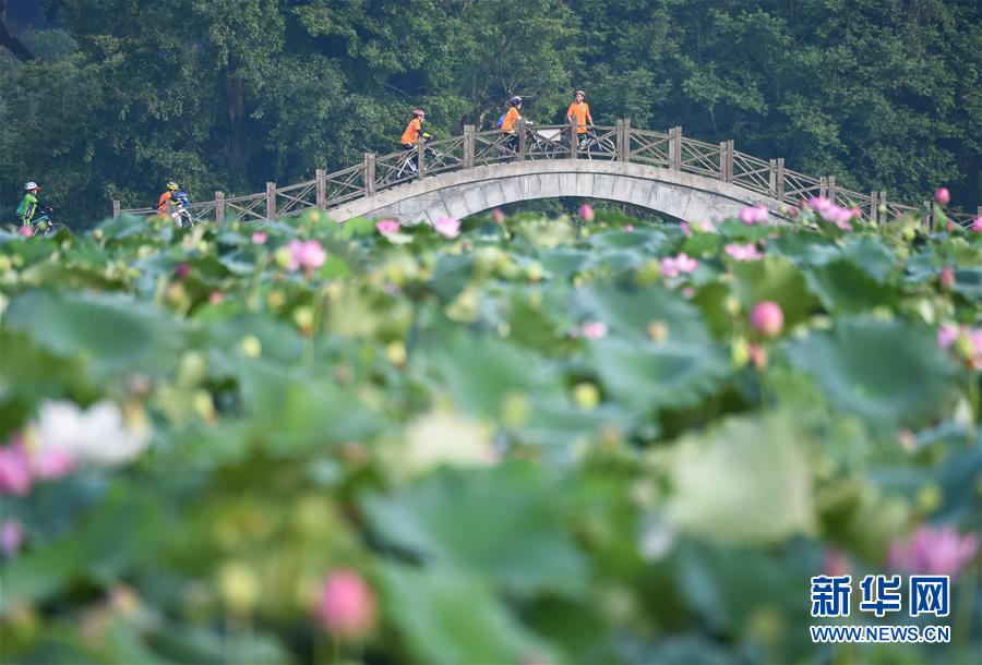 （图文互动）（1）守好绿水青山 换来金山银山——福建三明市践行“两山论”样本观察