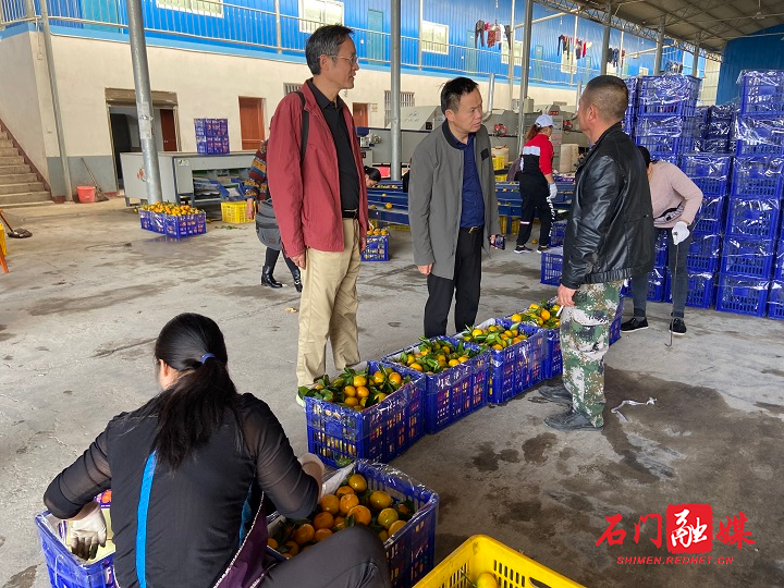 柑橘销售督查行动.jpg
