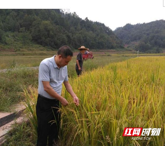 微信图片_20201012111448.jpg 微信图片_20201012111448.jpg