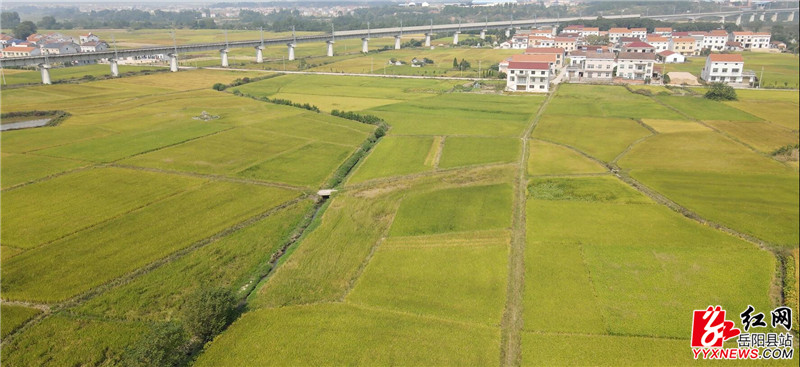 航拍 (2).jpg