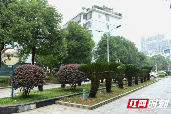 图片15.jpg