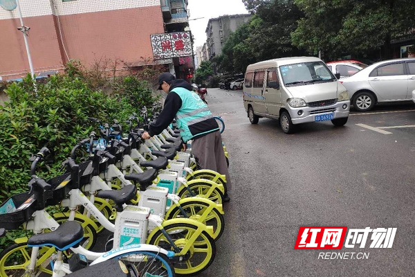 青桔工作人员正在摆放无序停放的共享单车。.jpg