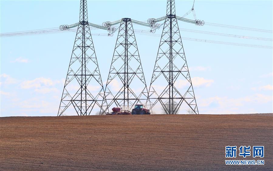 （国际）（10）世界粮食日：维护全球粮食安全 世界各国休戚与共