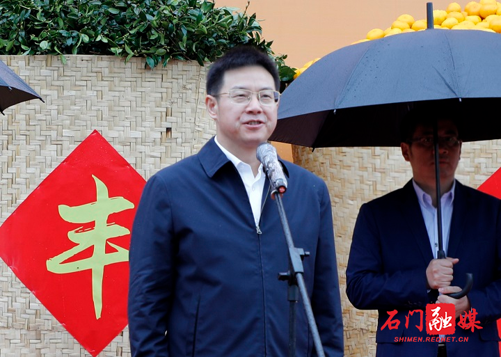网6.jpg