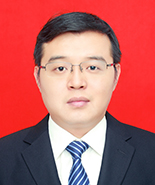市委常委、副市长:贺青