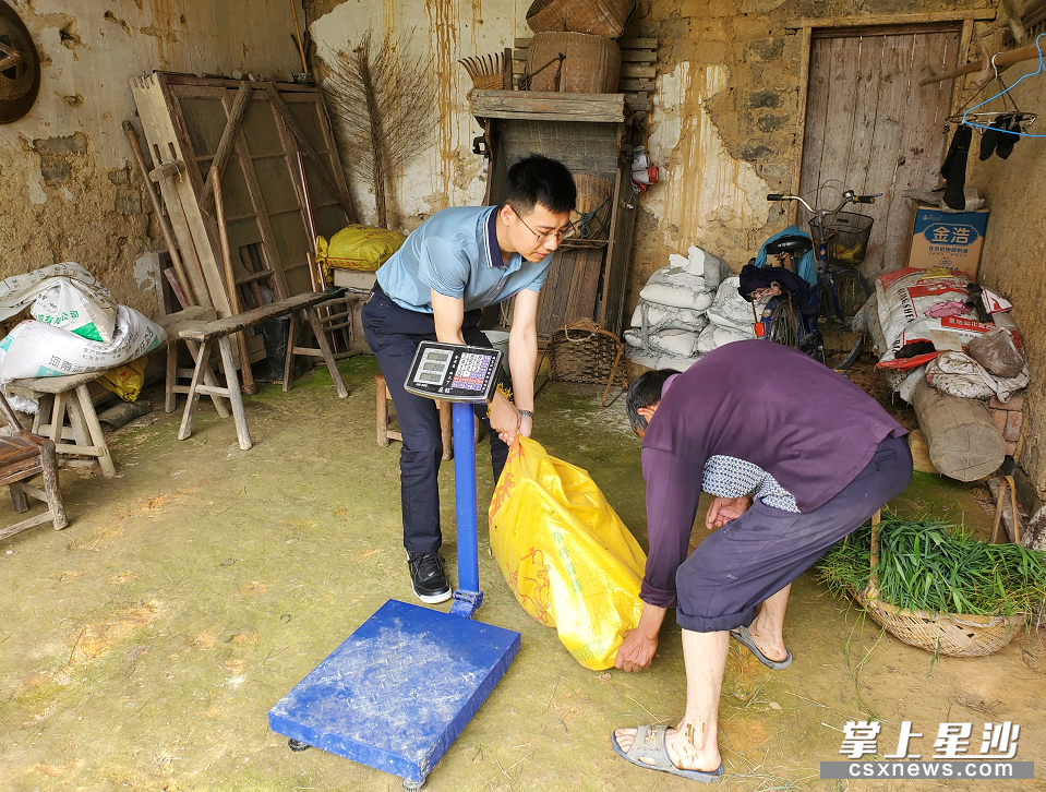 金井镇新沙村驻村工作队队长、第一书记张纬敏(左)来到大沅洞组建档立卡贫困户袁双明家,帮助他将一头已经养肥的黑山羊称重、销售。 金井镇新沙村驻村工作队队长、第一书记张纬敏(左)来到大沅洞组建档立卡贫困户袁双明家,帮助他将一头已经养肥的黑山羊称重、销售。