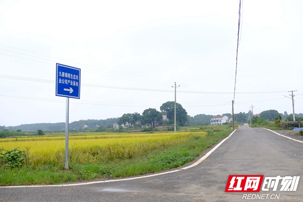 纵横的柏油路连通九雁村锦城生态农业公司产业基地.jpg