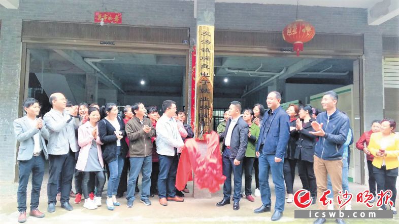 在驻村帮扶第一书记李波的努力引进下，长沙瑞良电子有限公司在灰汤镇灰汤村新建了一间扶贫车间。图片由受访方提供