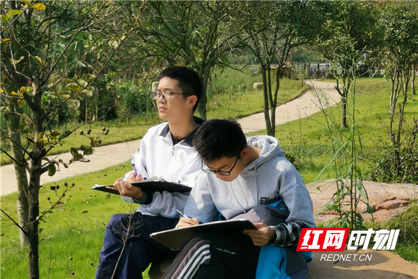 学生专注的写生.jpg