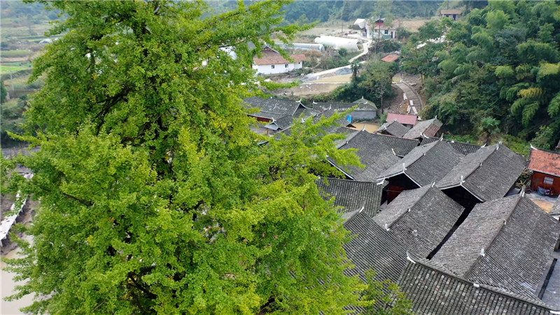 鹤城区：改善农村人居环境 推进美丽乡村建设（半成品）.mp4_20201019_173157.207.jpg