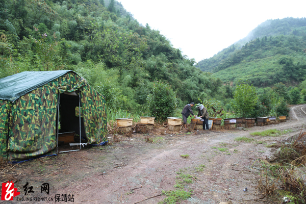 白云山下蜜香飘水.jpg
