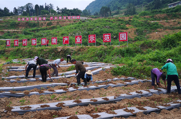 村民在产业园务工1.jpg