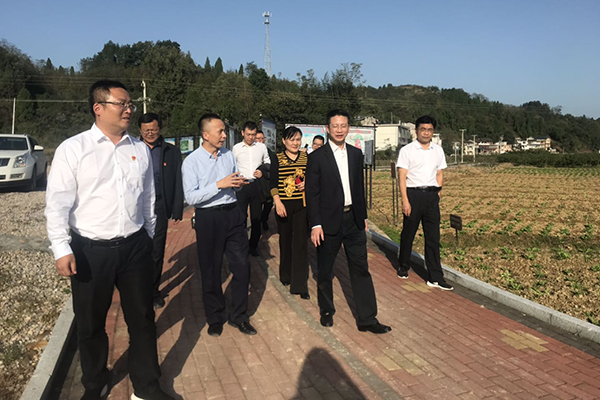 WechatIMG387.jpeg WechatIMG387.jpeg