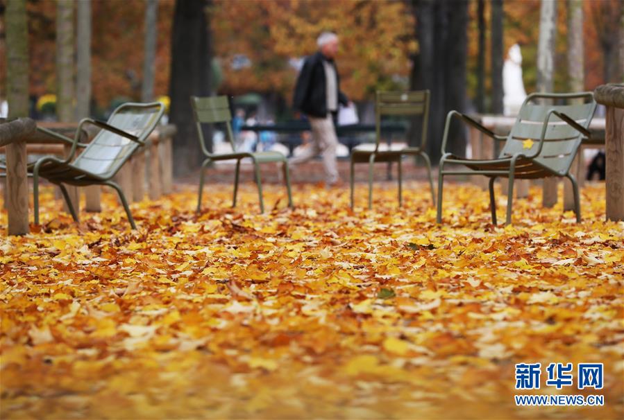 (国际)(1)巴黎秋天