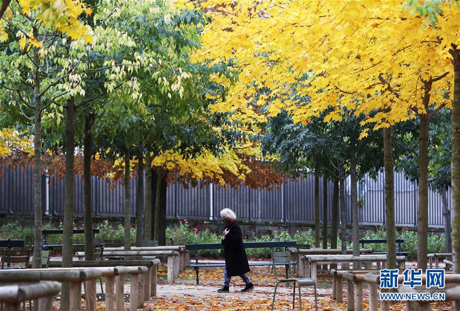 (国际)(5)巴黎秋天