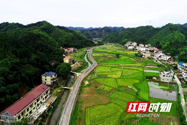 湖南省侨联：以“侨”为“桥” 架起脱贫攻坚“连心桥”