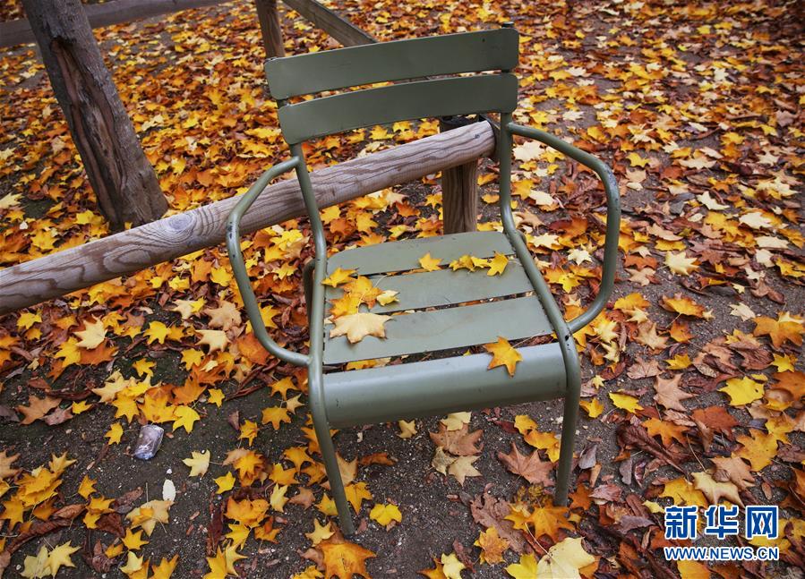 (国际)(4)巴黎秋天