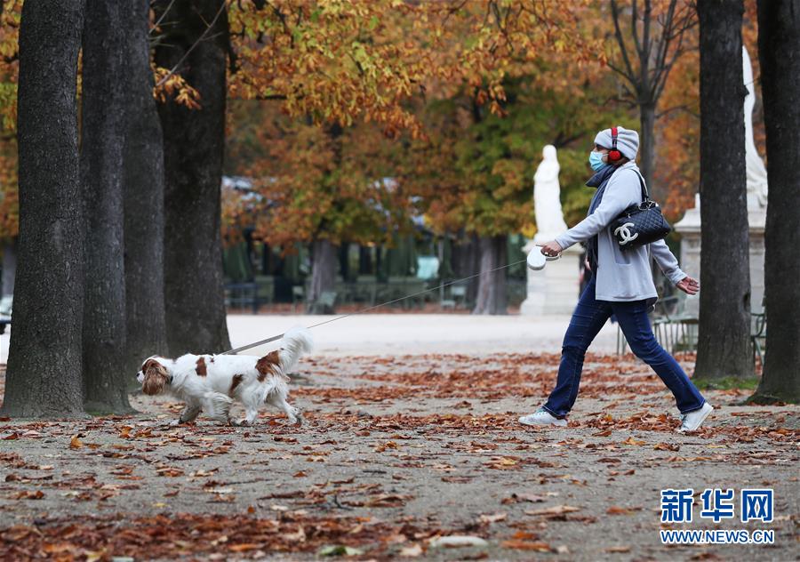 (国际)(8)巴黎秋天