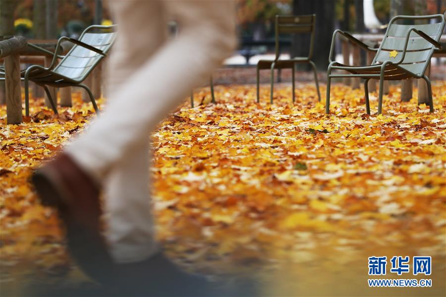 (国际)(7)巴黎秋天